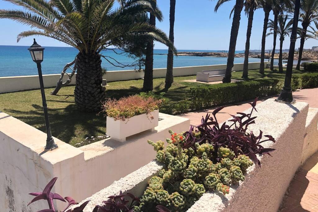 Apartamento Con Vistas Al Mar El Campello Exteriör bild